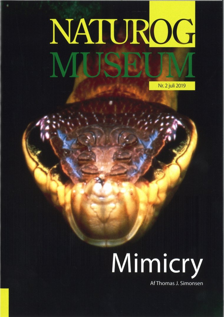 Mimicry